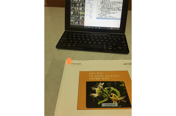 皮膚病と中医学